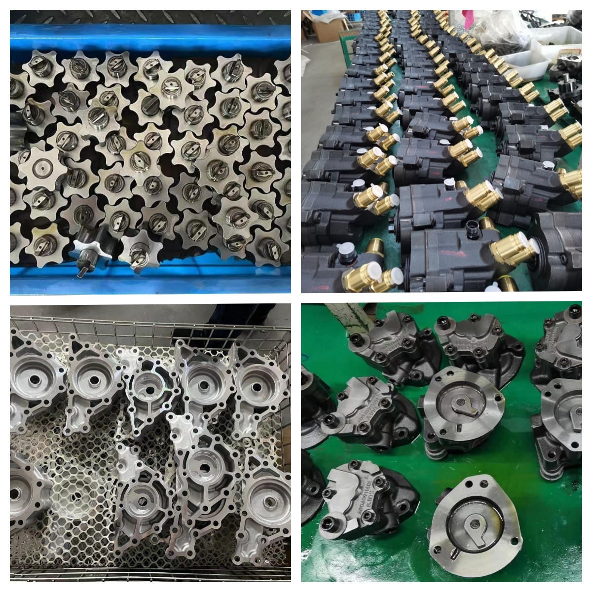 Chine Taizhou Lanqing Oil Pump Co.,Ltd Profil de la société
